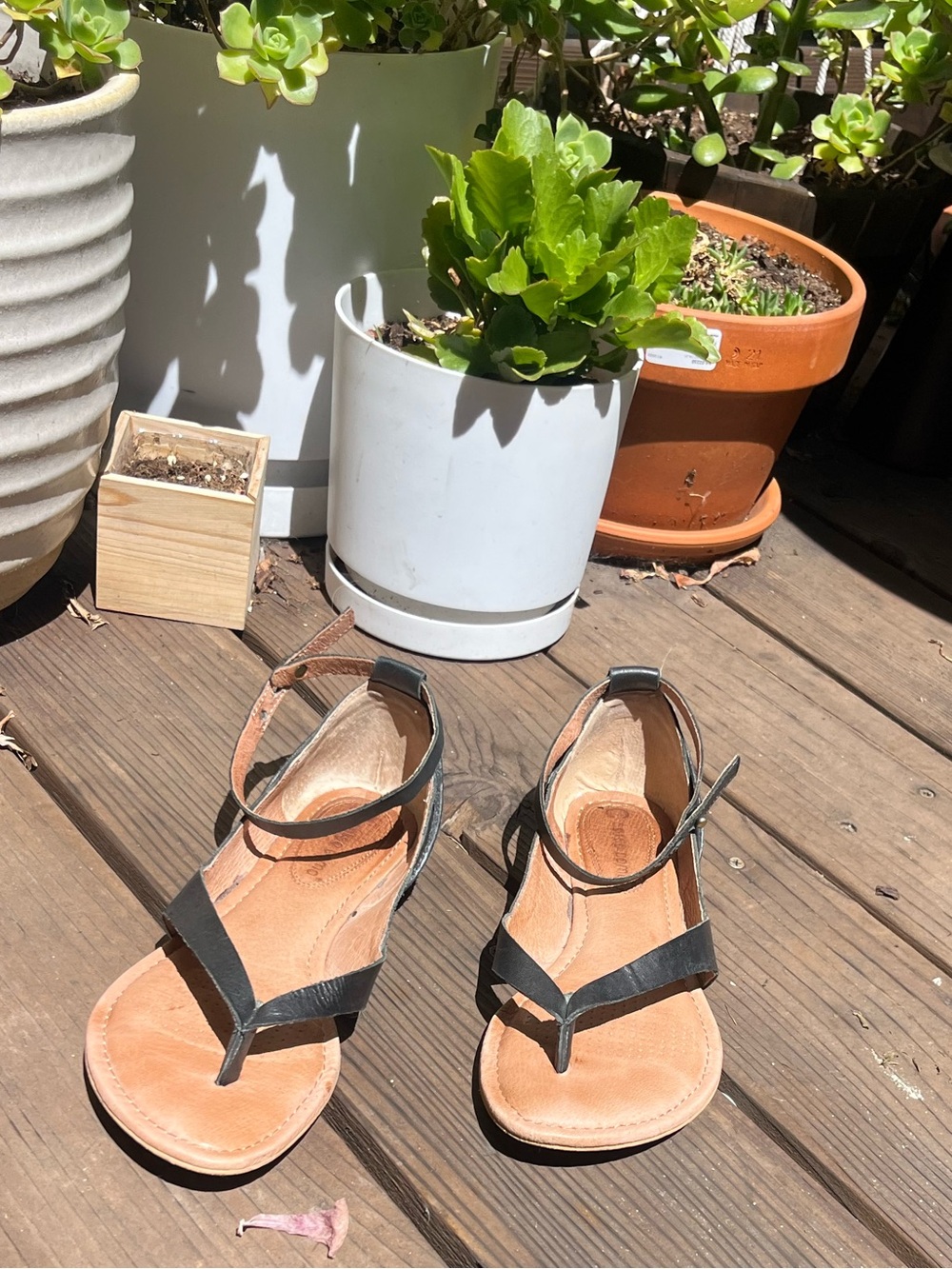 Black Leather Sandals - Corso Como - Picture 3 of 6